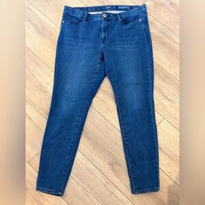 J. Jill Dark Blue Skinny Jeans